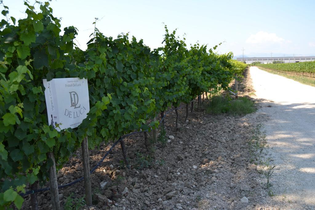Mozzagrogna Agriturismo De Luca מראה חיצוני תמונה