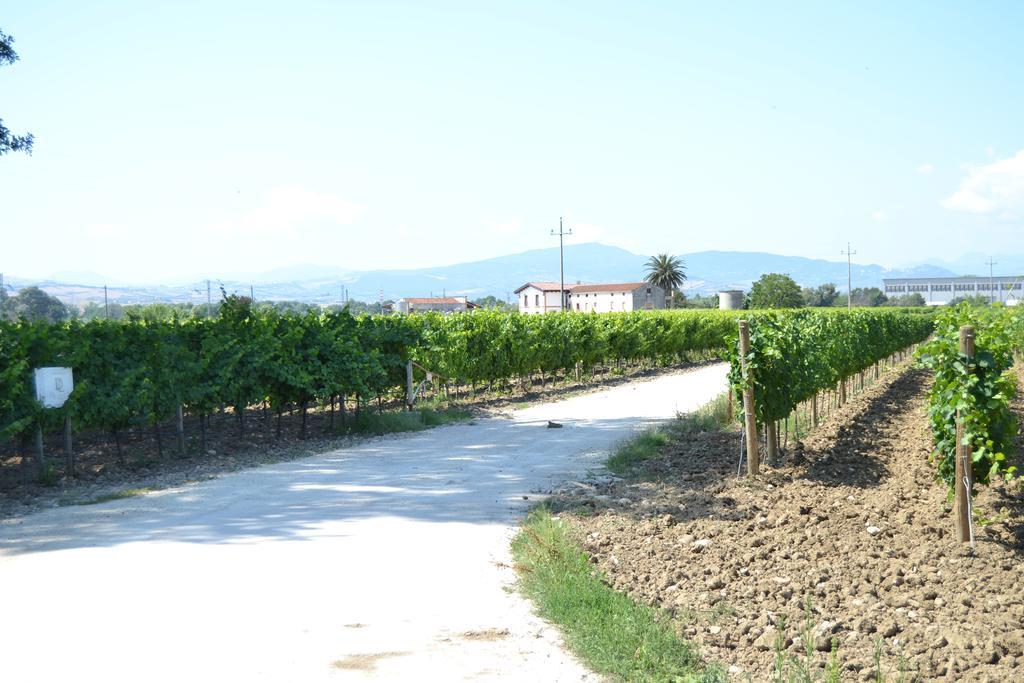 Mozzagrogna Agriturismo De Luca מראה חיצוני תמונה