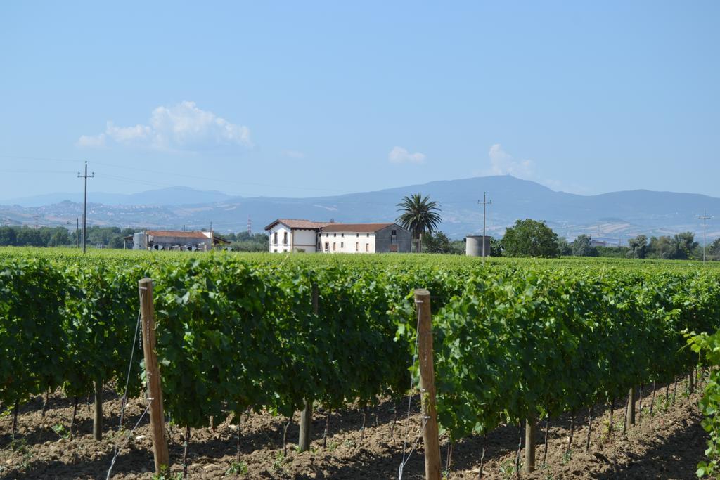 Mozzagrogna Agriturismo De Luca מראה חיצוני תמונה